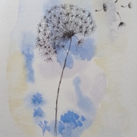 IMG_20250312_150115-01