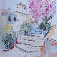 IMG_20250312_150347-01