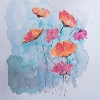 IMG_20250312_150753-01