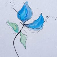 IMG_20250312_151447-01