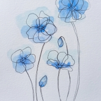 IMG_20250312_151508-01