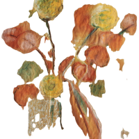 bouquet-harmonie-orange