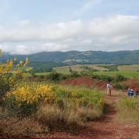 1_IMG_20250605_094139-2