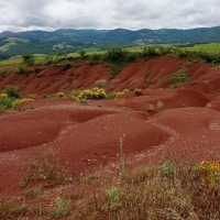 1_IMG_20250605_115420-2