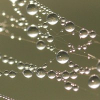 IMG_3640-3