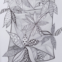 IMG_20250312_151519-01