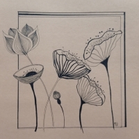 IMG_20250315_161911-01