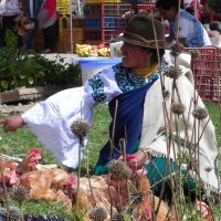 1_DSCN0346