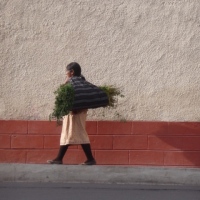 1_Equateur-Michele-3-269