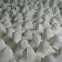 Equateur-Nicole-2-1057